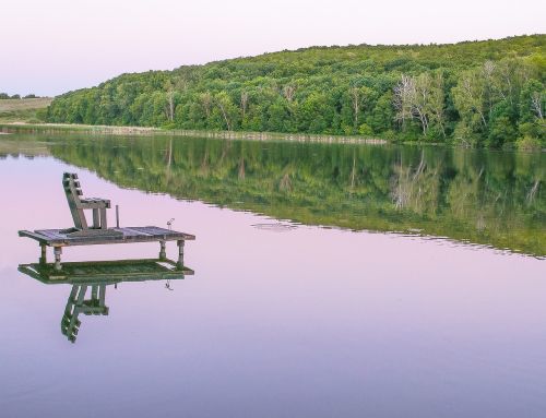 lake forest chair