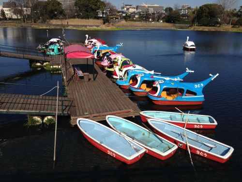 lake boat landing stage