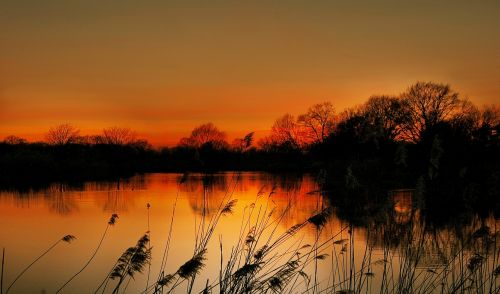 lake sun evening