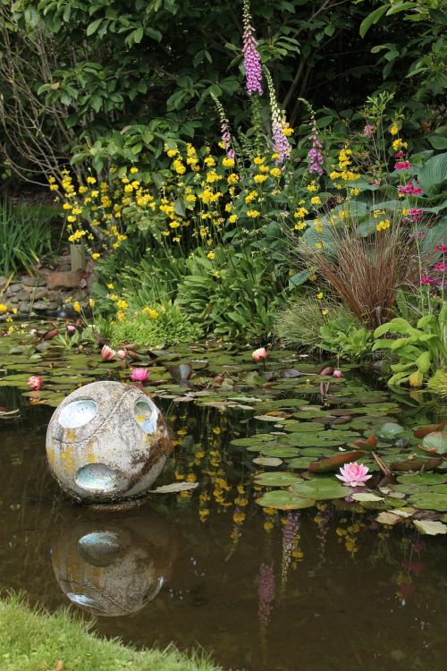 lake pond garden