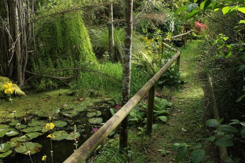 lake pond garden