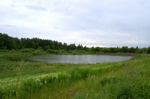 lake forest landscape