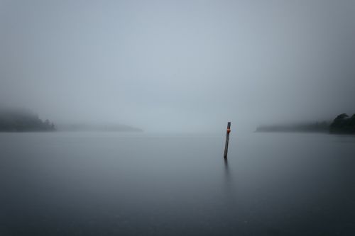 lake water wood