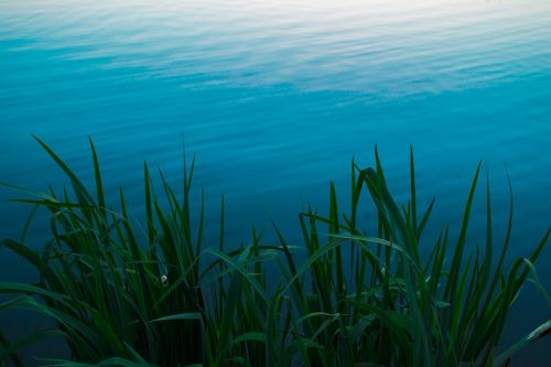 lake blue water