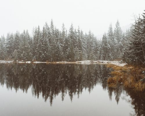 lake water reflection