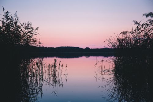 lake water reflection