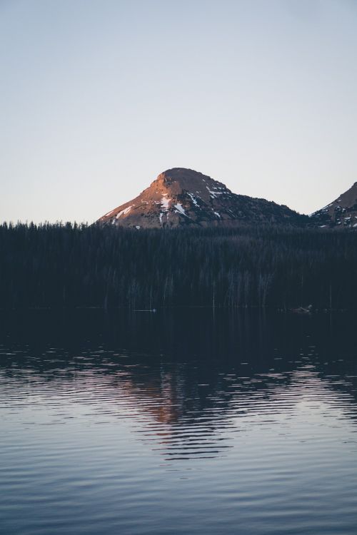 lake water trees