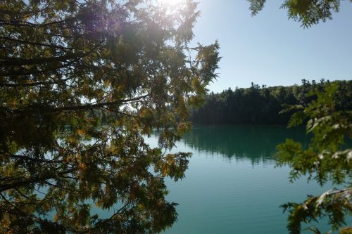 lake water trees