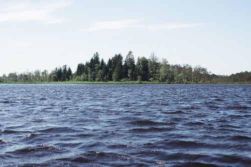 lake water trees
