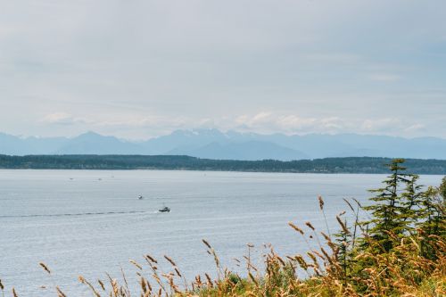 lake water boats