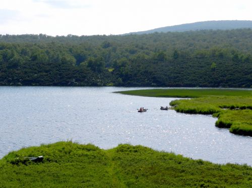 lake mountains forest