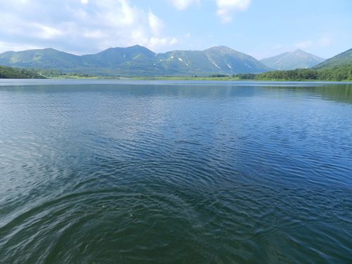 lake mountains forest