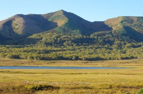 lake mountains forest