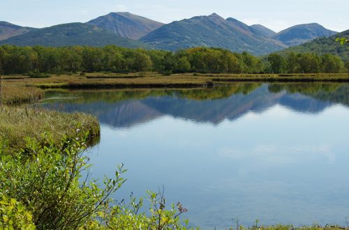 lake mountains forest