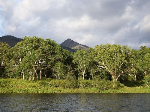 lake mountains forest