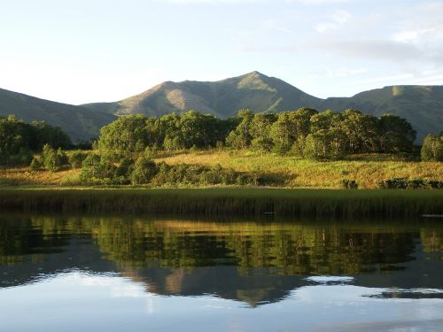 lake mountains forest