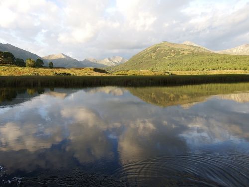 lake mountains forest