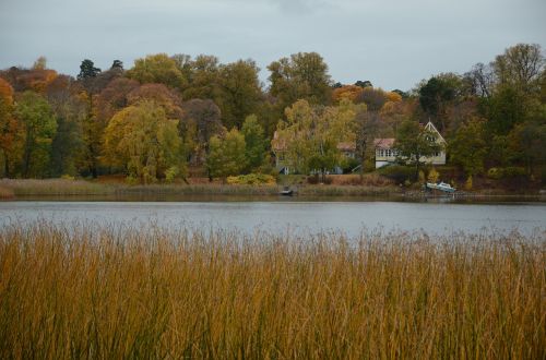lake autumn water