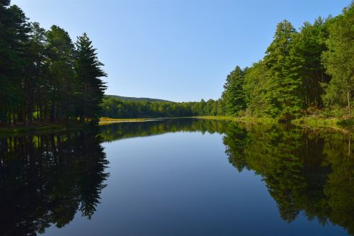 lake sunrise tree