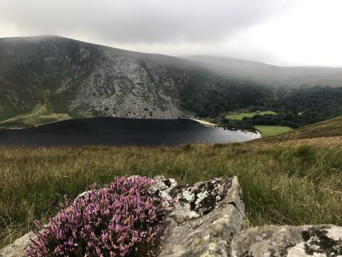 lake stone heather