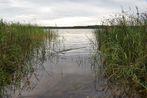 lake nature water