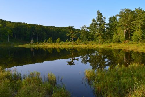 lake reflection park