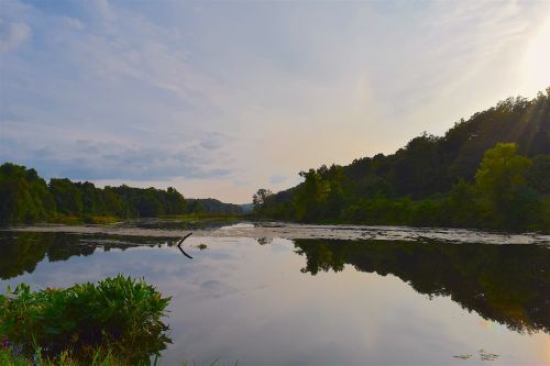 lake landscape trees