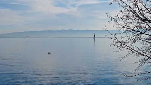 lake nature view