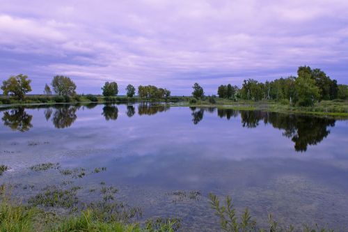 lake forest autumn