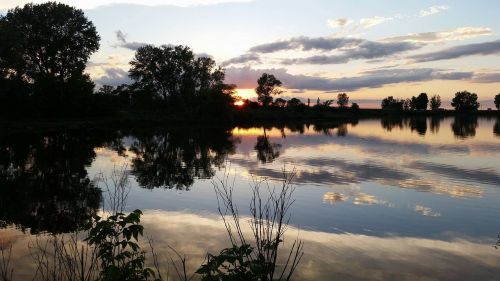 lake reflection trees