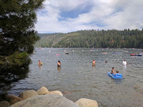 lake nature swimming