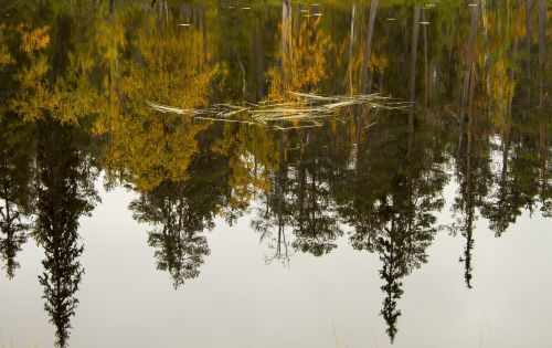 lake beach water