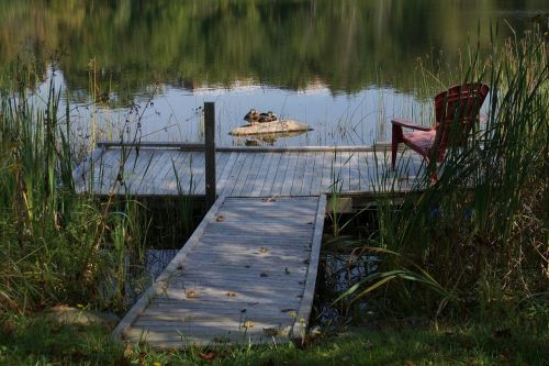 lake ducks dock