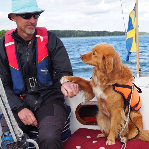 lake sailing dog