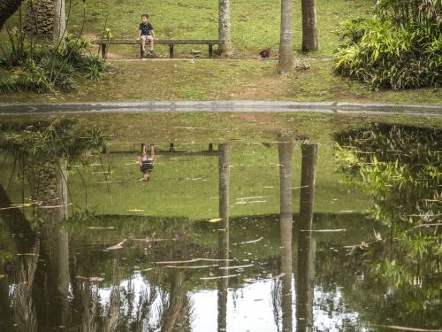 lake mirror reflection