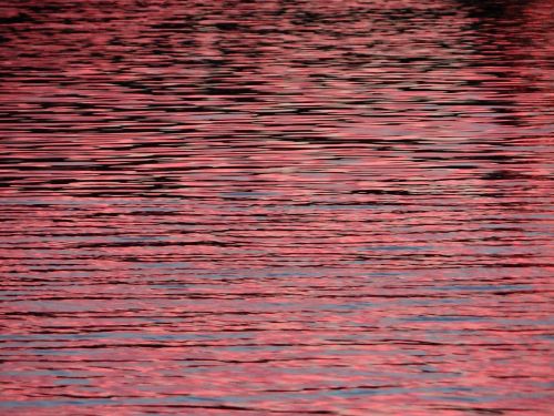 lake water the background