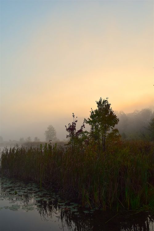 lake mist morning
