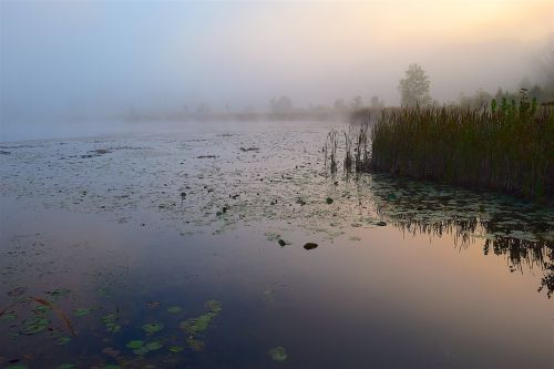 lake mist morning