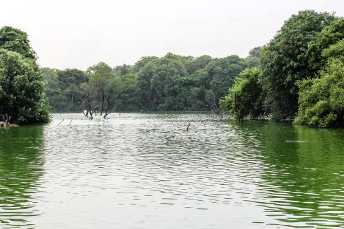 lake nature india