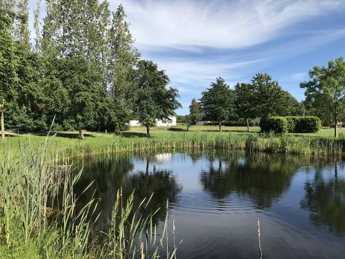 lake siv the duck pond