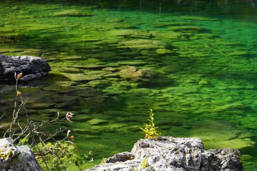 lake water pond