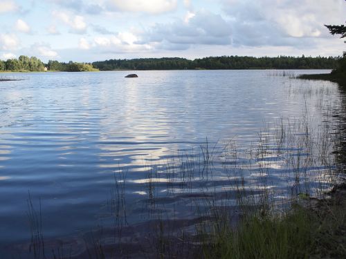 lake fishing summer