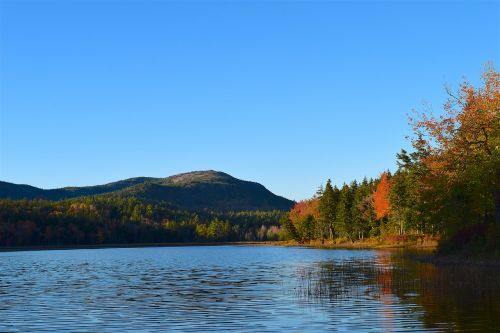 lake trees foliage