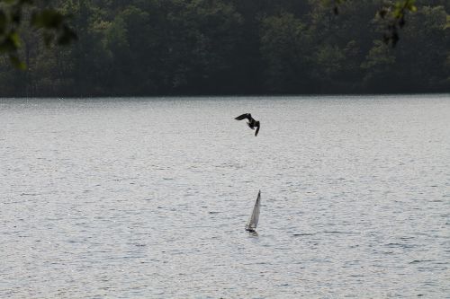 lake flight boat sail