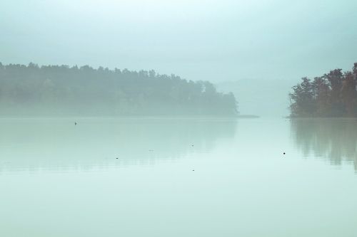 lake the fog pond