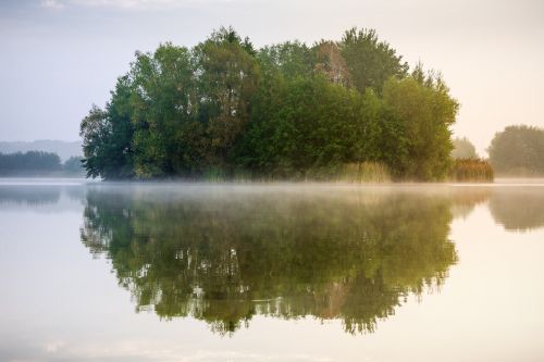 lake mirroring fog