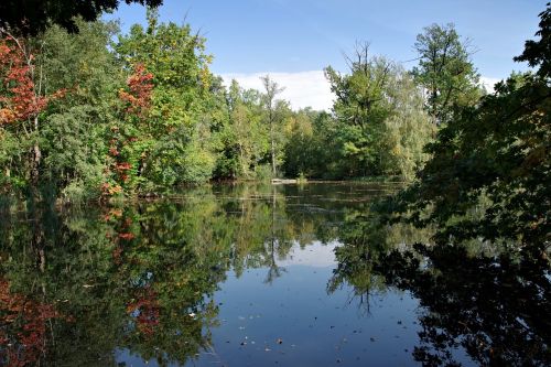 lake forest pond