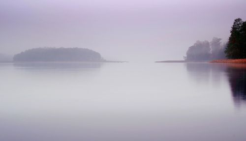 lake the fog water