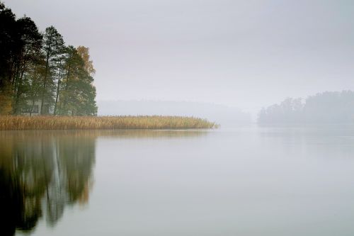 lake the fog pond