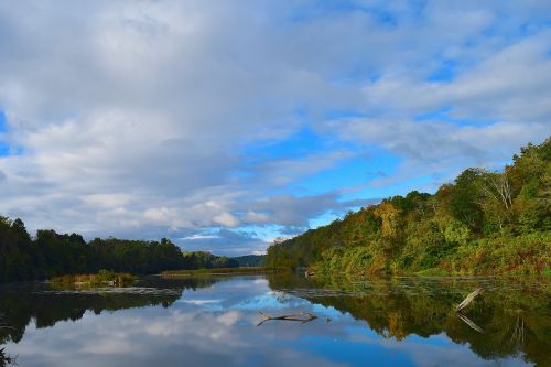 lake trees landscape